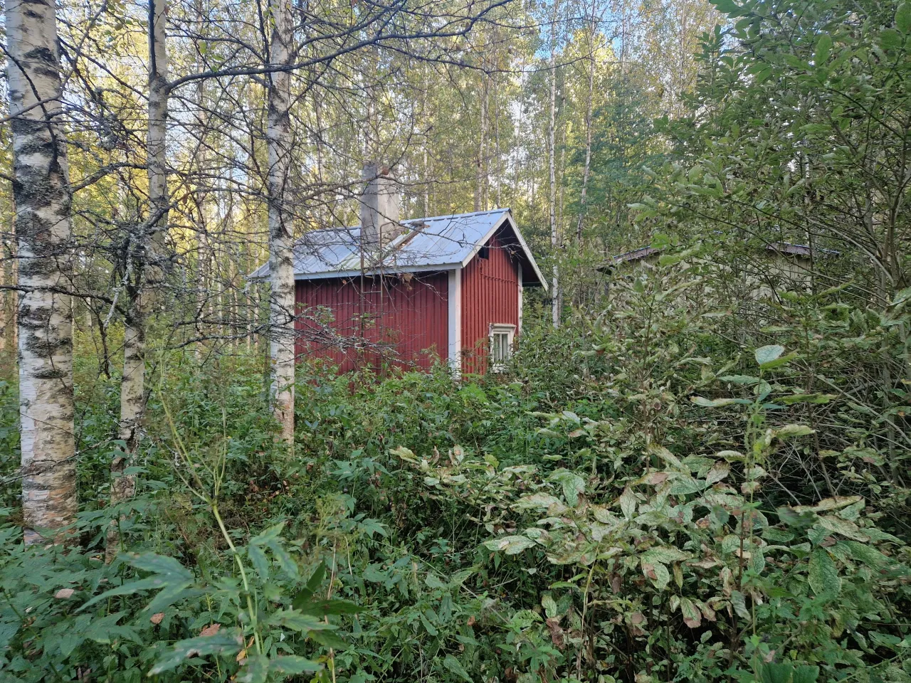 Коттедж в Кангасниеми, Финляндия, 50 м² - фото 6