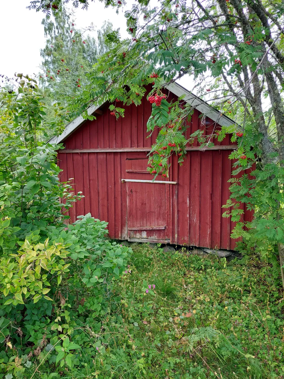 Коттедж в Иисалми, Финляндия, 30 м² - фото 6