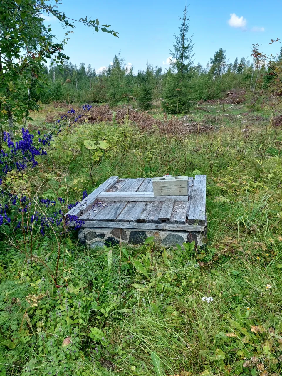 Коттедж в Иисалми, Финляндия, 30 м² - фото 18