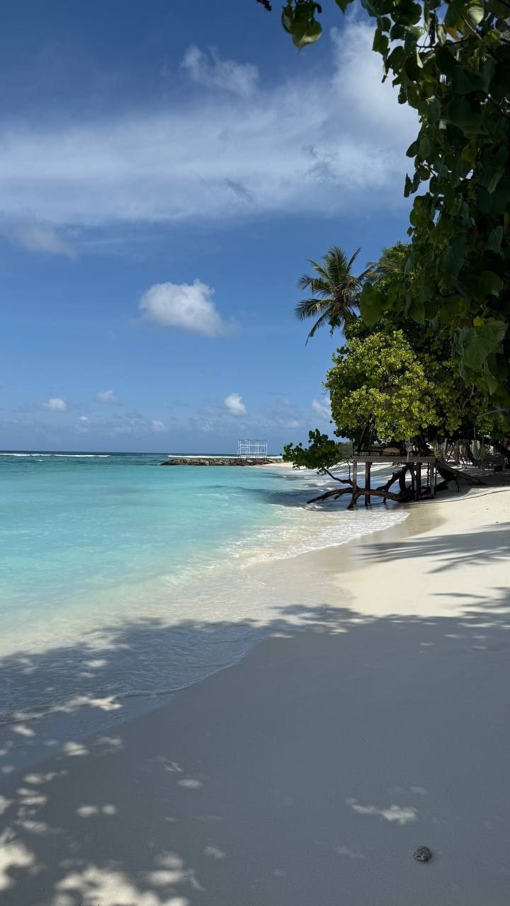 Инвестиционный проект Мальдивы, Мальдивы, 40 м² - фото 2