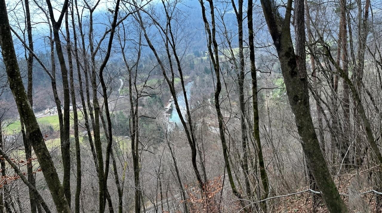 Земля в Бледе, Словения, 9 034 м² - фото 3