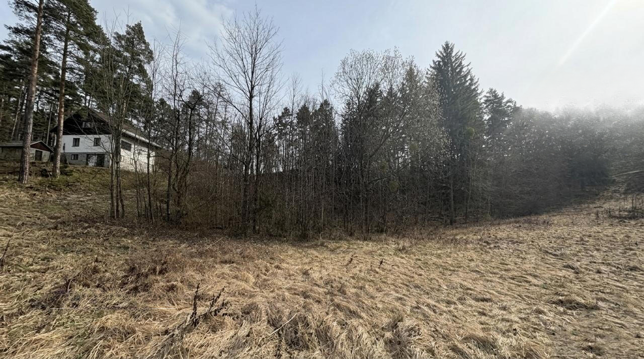 Земля в Бледе, Словения, 9 034 м² - фото 4