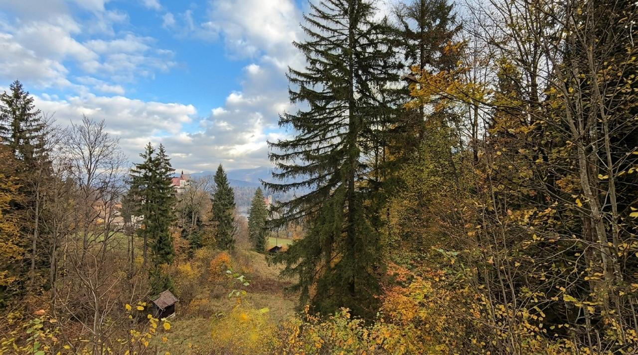 Земля в Бледе, Словения, 9 034 м² - фото 6