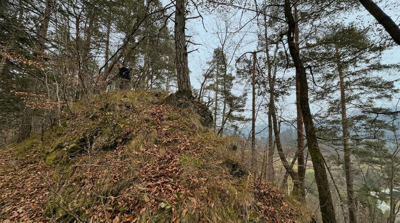 Земля в Бледе, Словения, 9 034 м² - фото 8