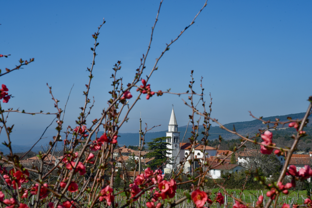 Дом в Комене, Словения, 290 м² - фото 16