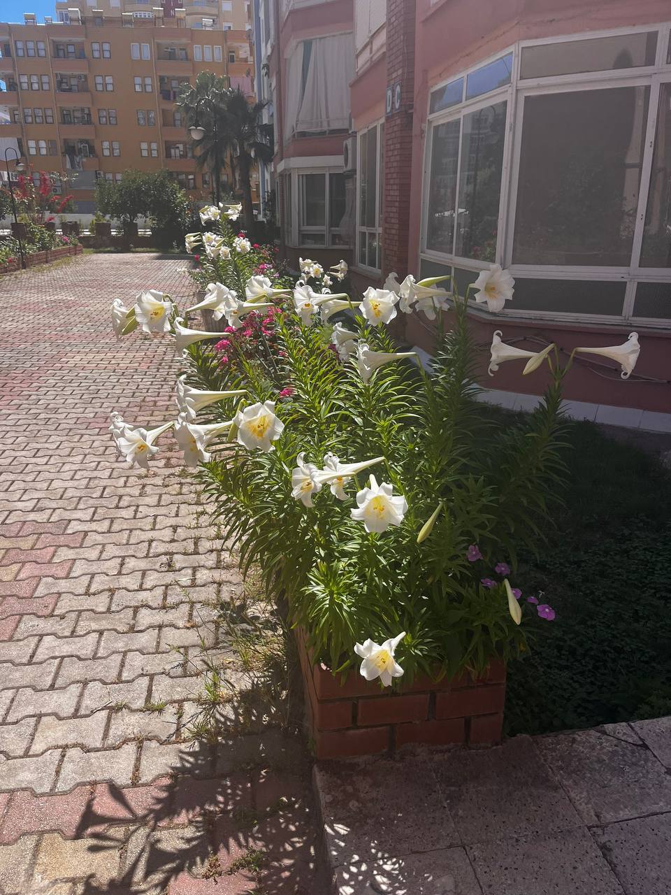 Квартира в Алании, Турция, 80 м² - фото 4