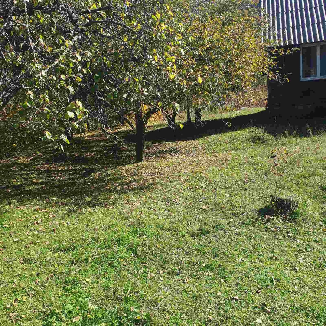 Дом в Колашине, Черногория, 41 м² - фото 2