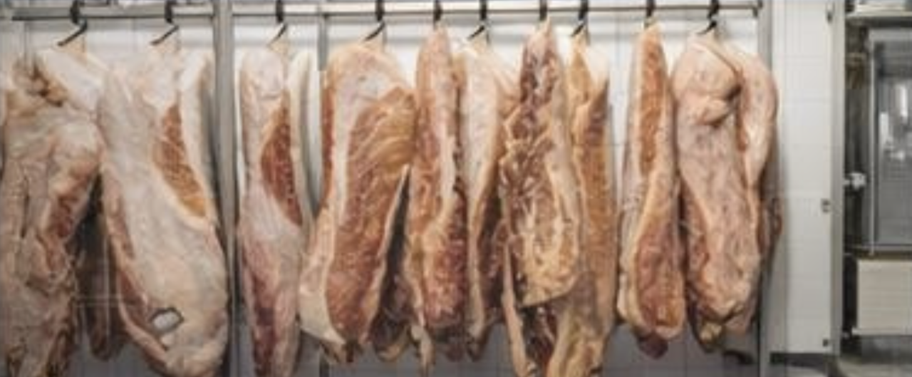 Коммерческая недвижимость Heves, Венгрия, 630 м² - фото 5