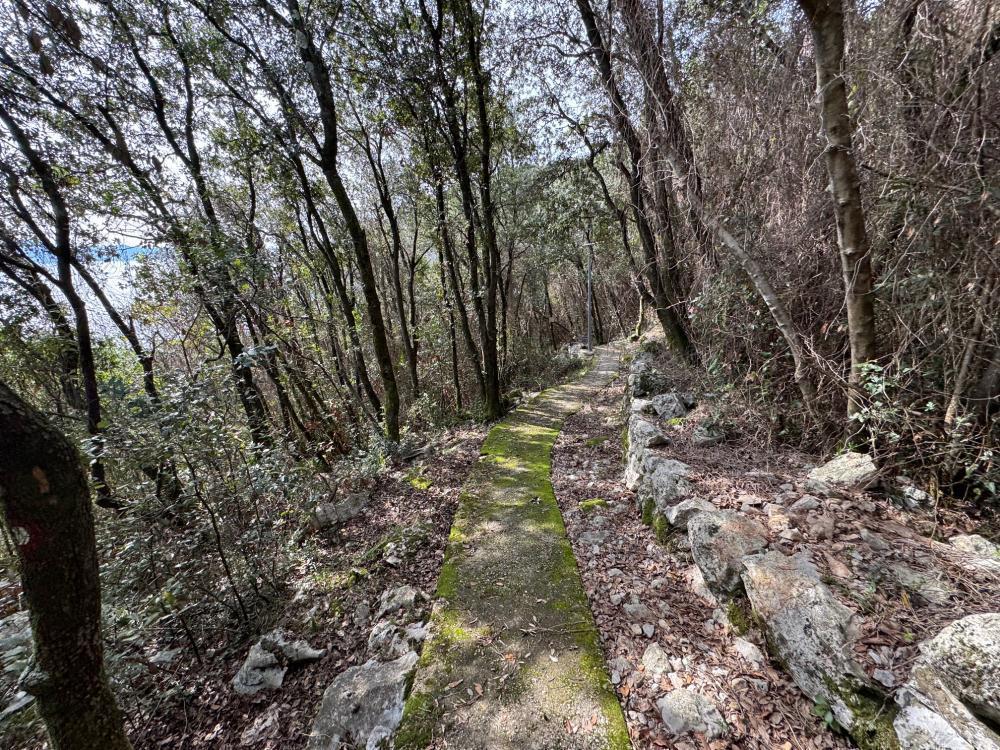 Отель, гостиница Moscenicka Draga, Хорватия, 840 м² - фото 9