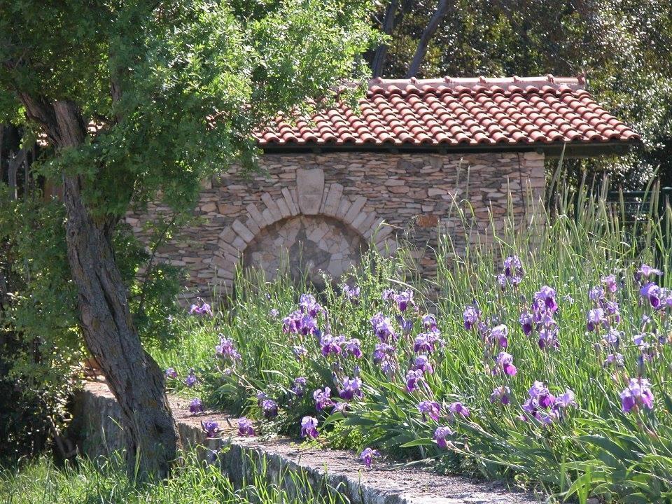 Вилла в Лижняне, Хорватия, 67 738 м² - фото 16