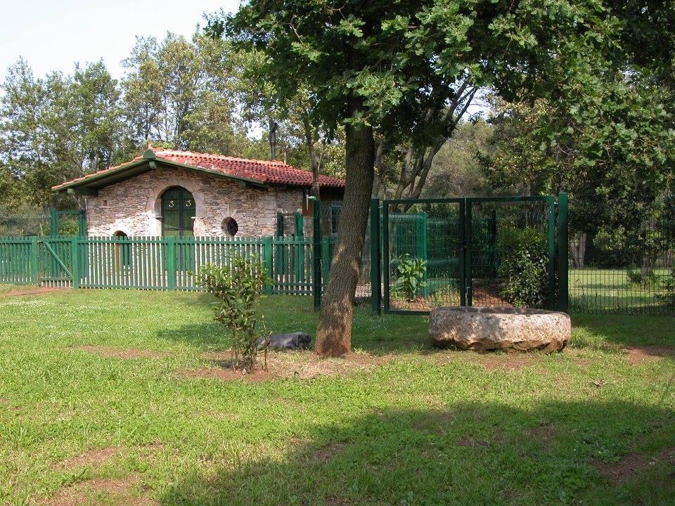 Вилла в Лижняне, Хорватия, 67 738 м² - фото 18