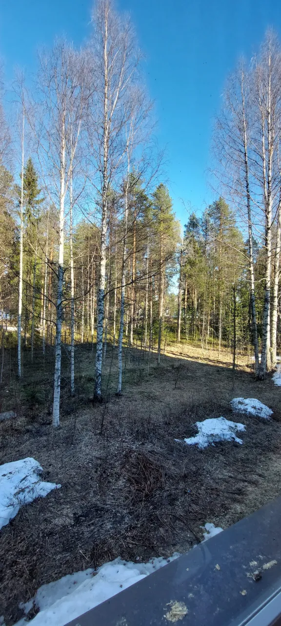 Квартира в Суомуссалми, Финляндия, 62 м² - фото 16