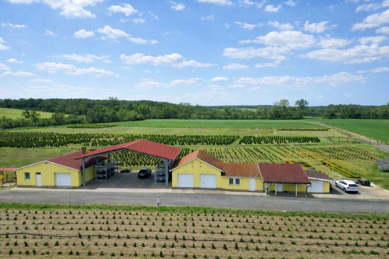 Коммерческая недвижимость Balogunyom, Венгрия, 879 м² - фото 1