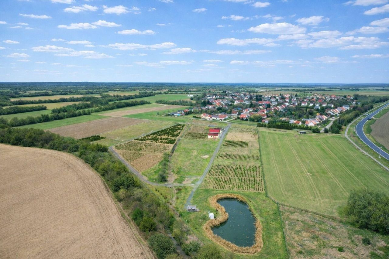 Коммерческая недвижимость Balogunyom, Венгрия, 879 м² - фото 3