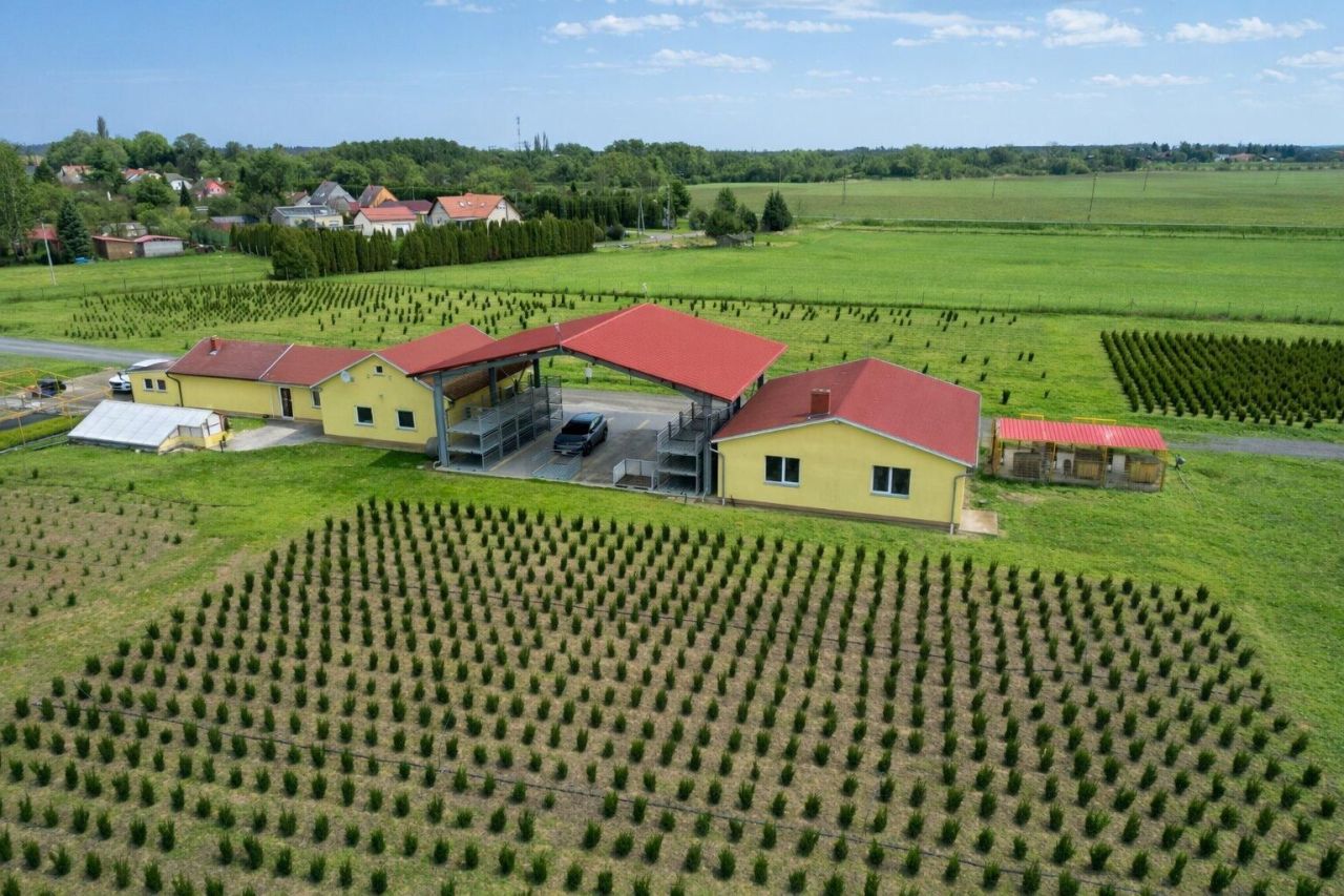 Коммерческая недвижимость Balogunyom, Венгрия, 879 м² - фото 4