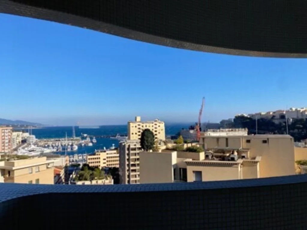 Квартира в Ла-Кондамине, Монако, 103 м² - фото 2