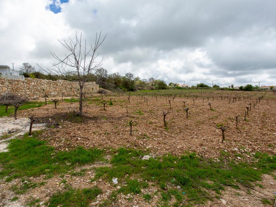 Земля в Пафосе, Кипр, 12 041 м² - фото 6