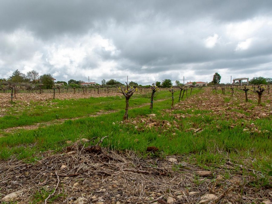 Земля в Пафосе, Кипр, 12 041 м² - фото 8