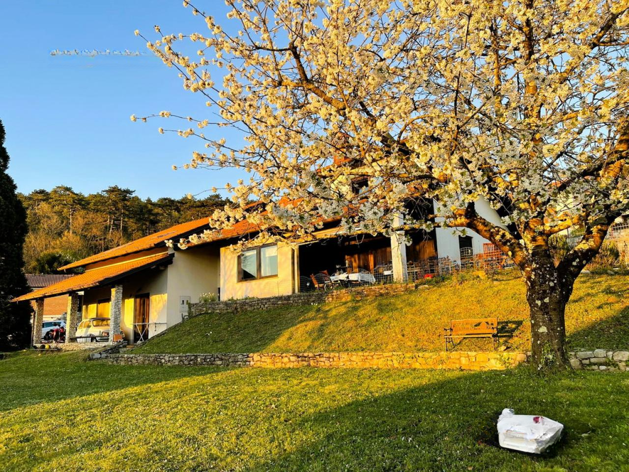 Дом в Сежане, Словения, 394 м² - фото 1