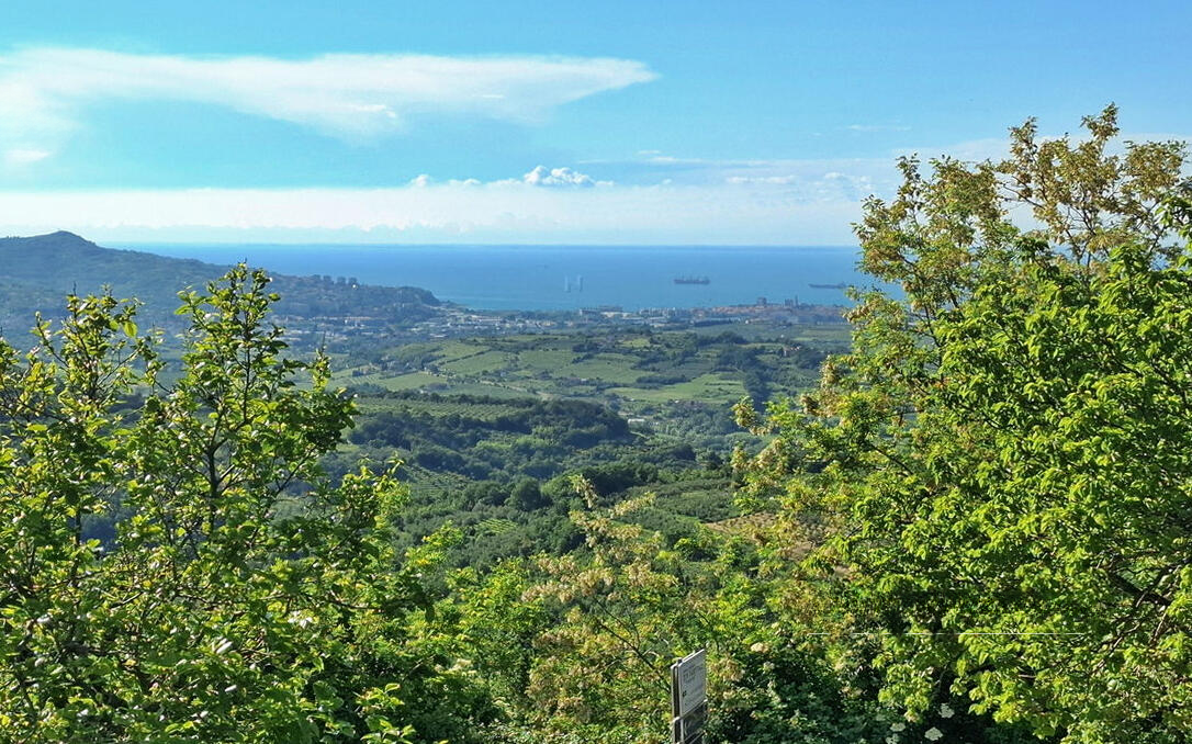 Дом в Копере, Словения, 1 146 м² - фото 1