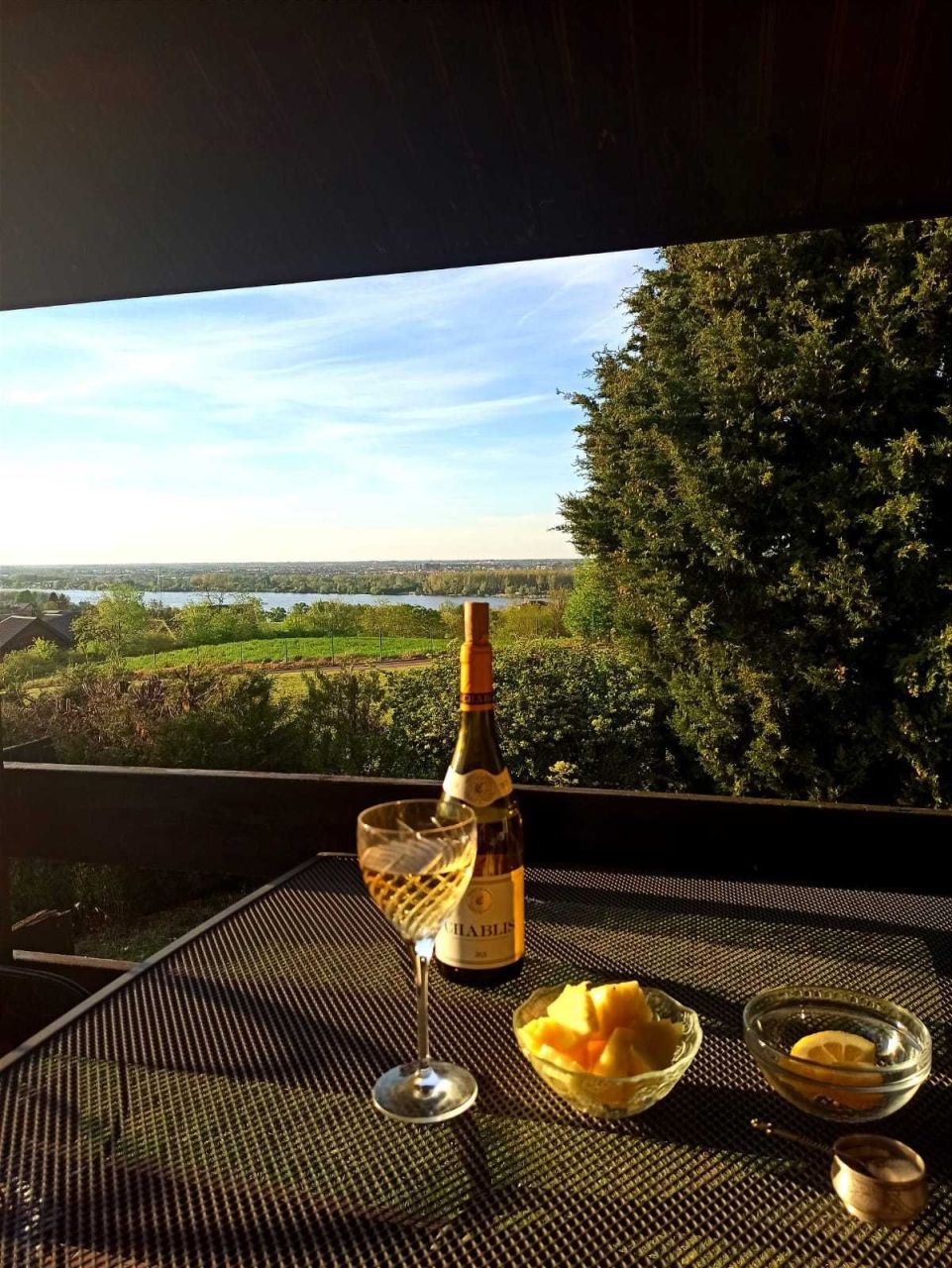 Поместье в Нови-Саде, Сербия, 322 м² - фото 7