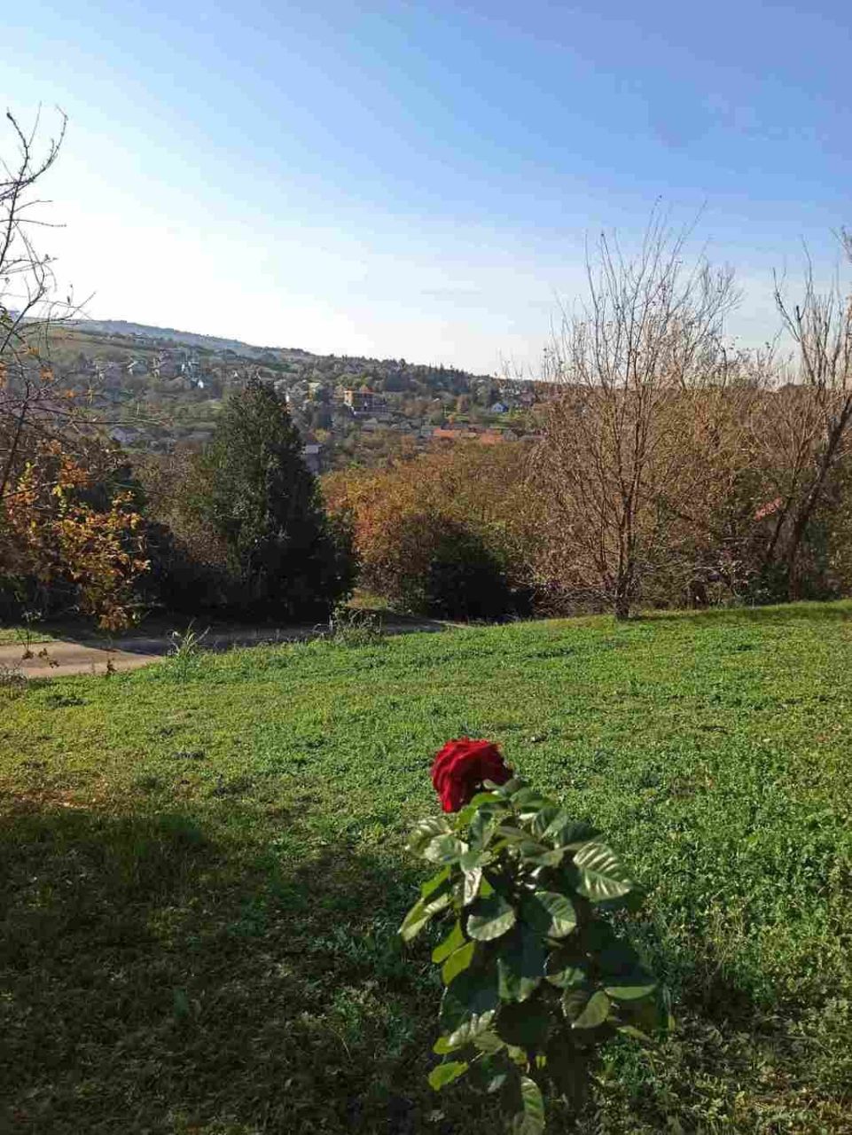 Поместье в Нови-Саде, Сербия, 322 м² - фото 15
