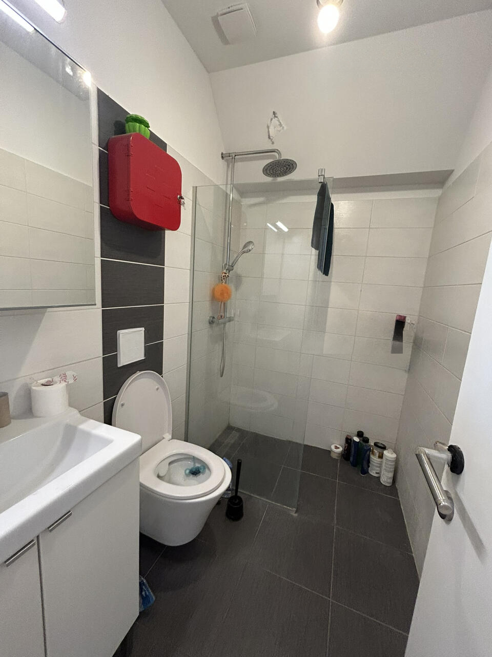 Квартира в Любляне, Словения, 244 м² - фото 11