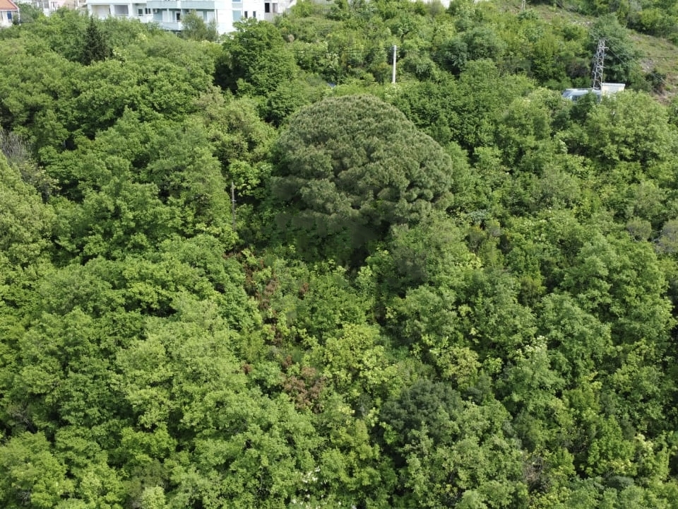 Земля в Сутоморе, Черногория, 435 м² - фото 6