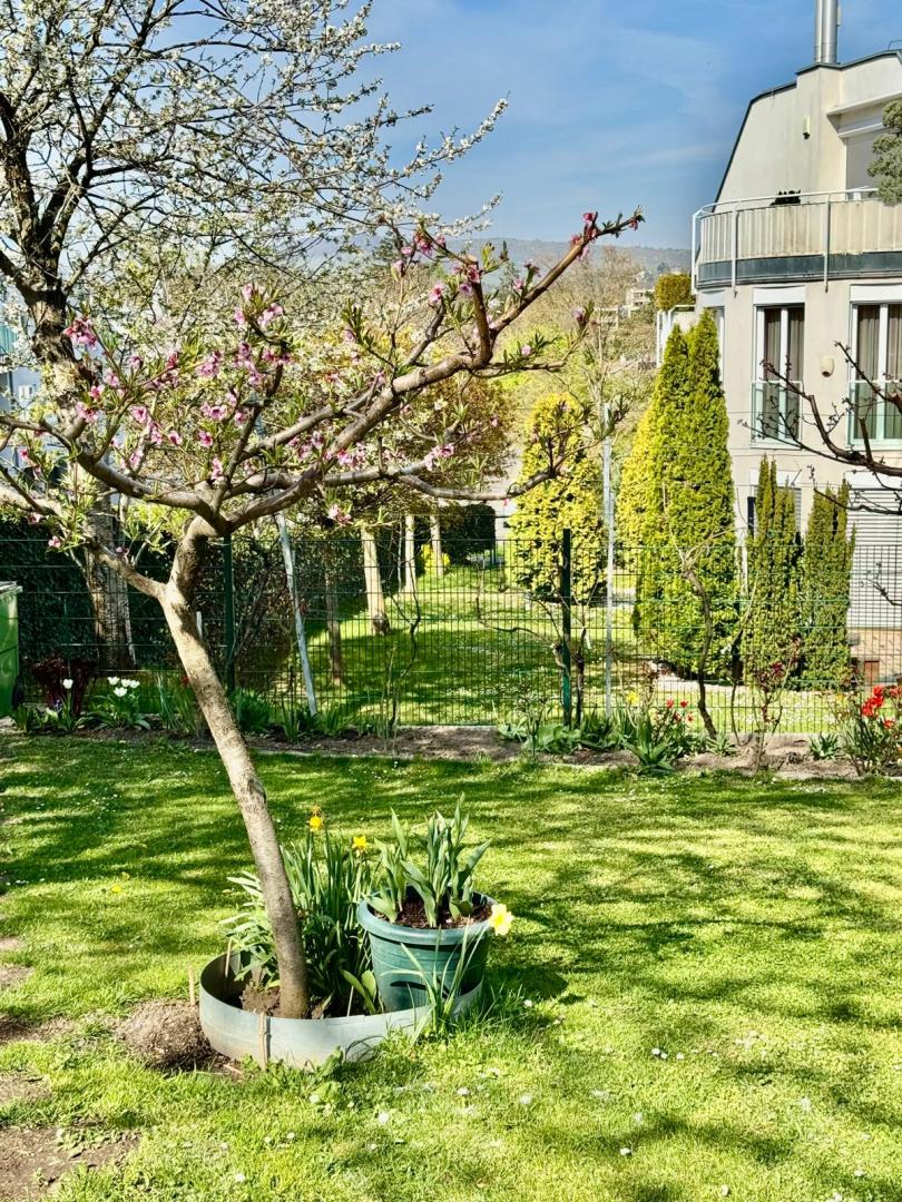 Квартира в Вене, Австрия, 140 м² - фото 15
