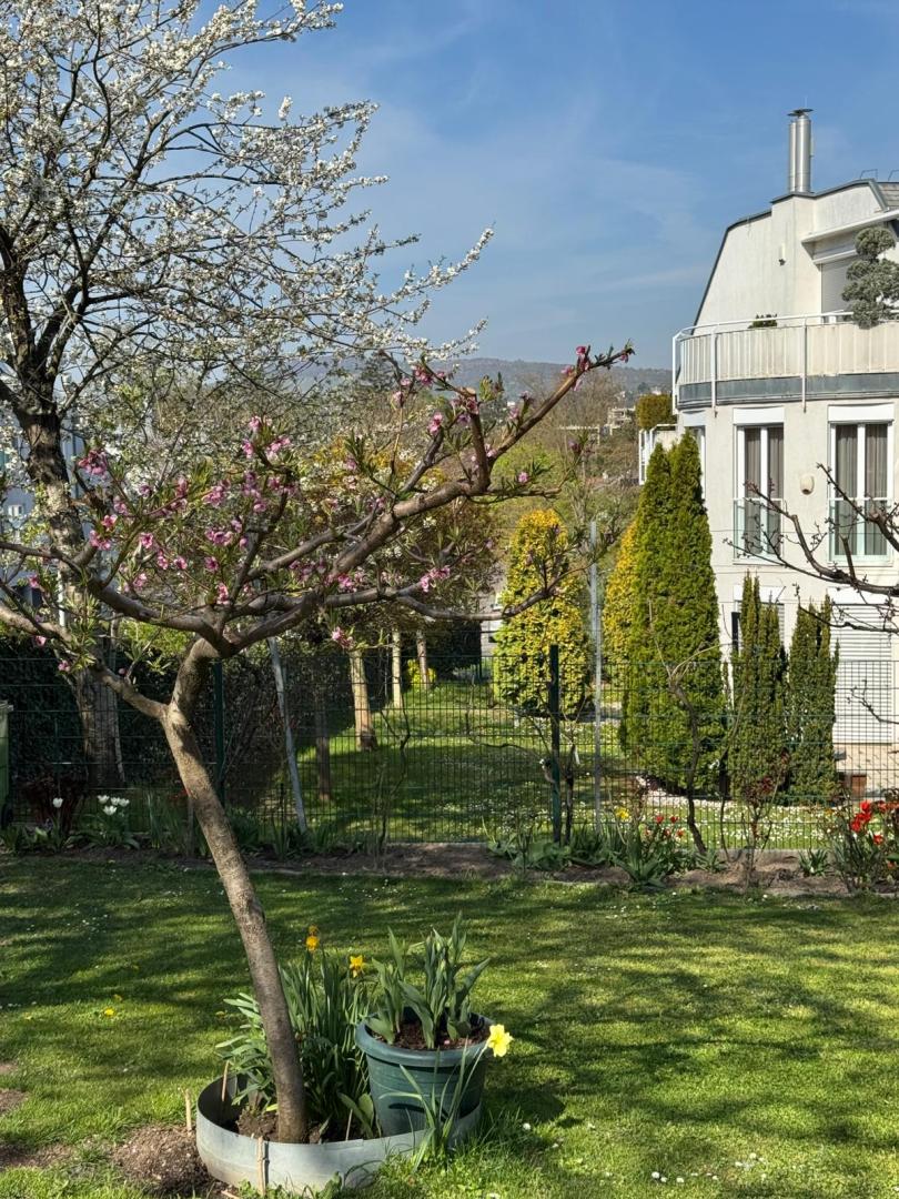 Квартира в Вене, Австрия, 140 м² - фото 16