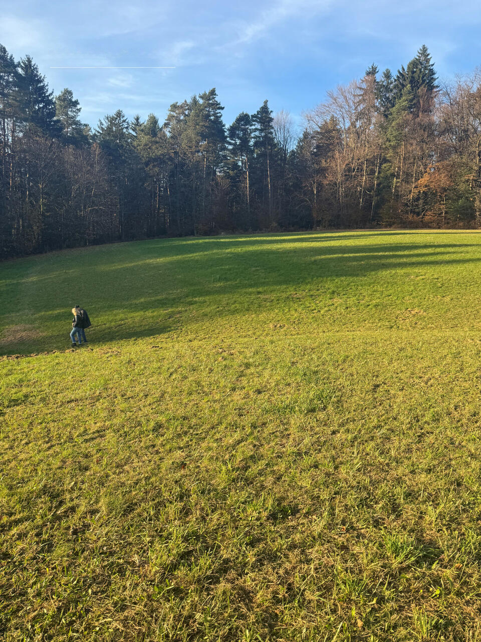 Ферма в Любляне, Словения, 62 469 м² - фото 2