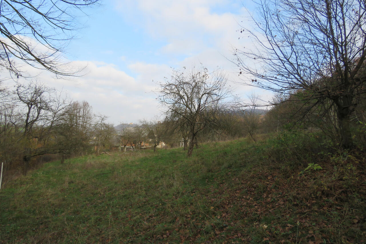 Ферма в Любляне, Словения, 53 820 м² - фото 7