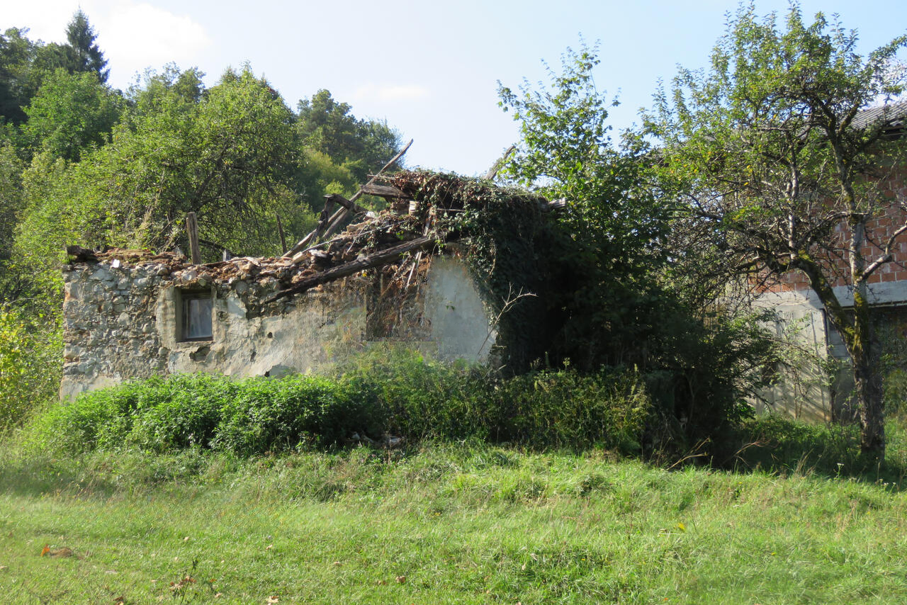 Ферма в Любляне, Словения, 53 820 м² - фото 10