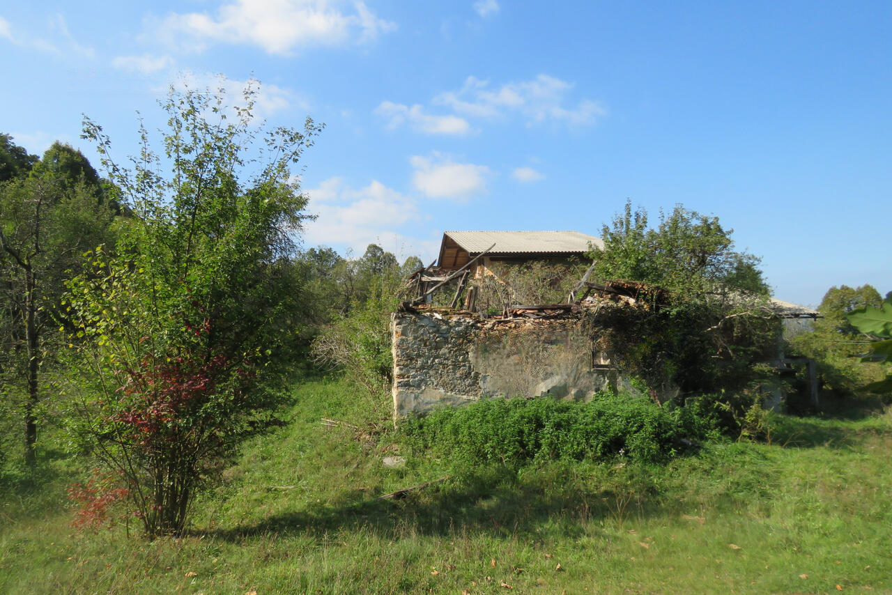 Ферма в Любляне, Словения, 53 820 м² - фото 11