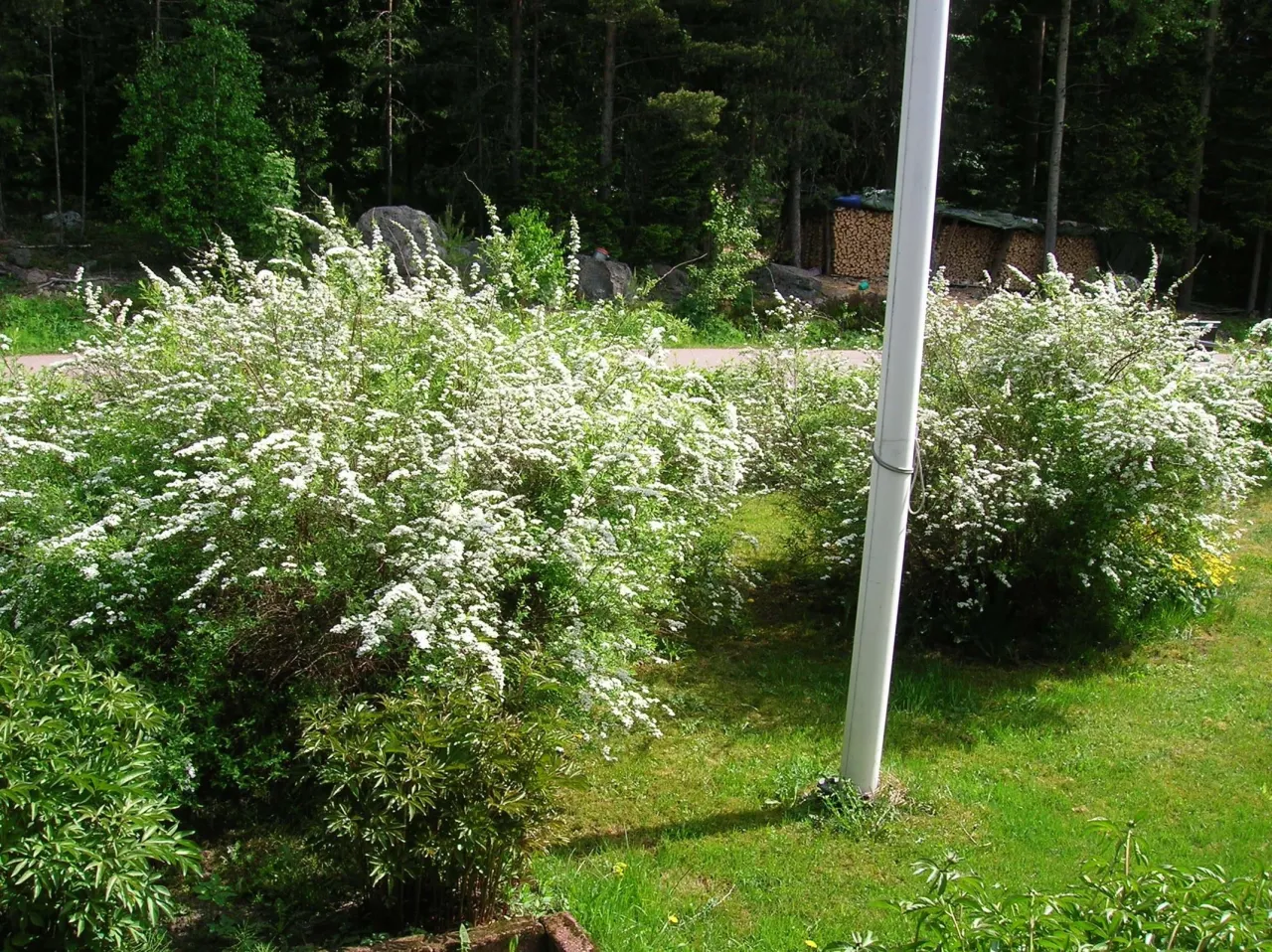 Дом в Хамине, Финляндия, 110 м² - фото 18