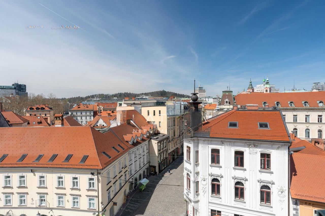 Квартира в Любляне, Словения, 368 м² - фото 1