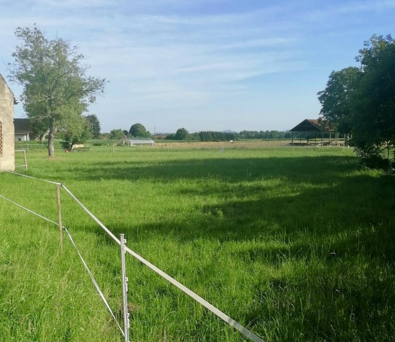 Дом в Орможе, Словения, 193 м² - фото 2