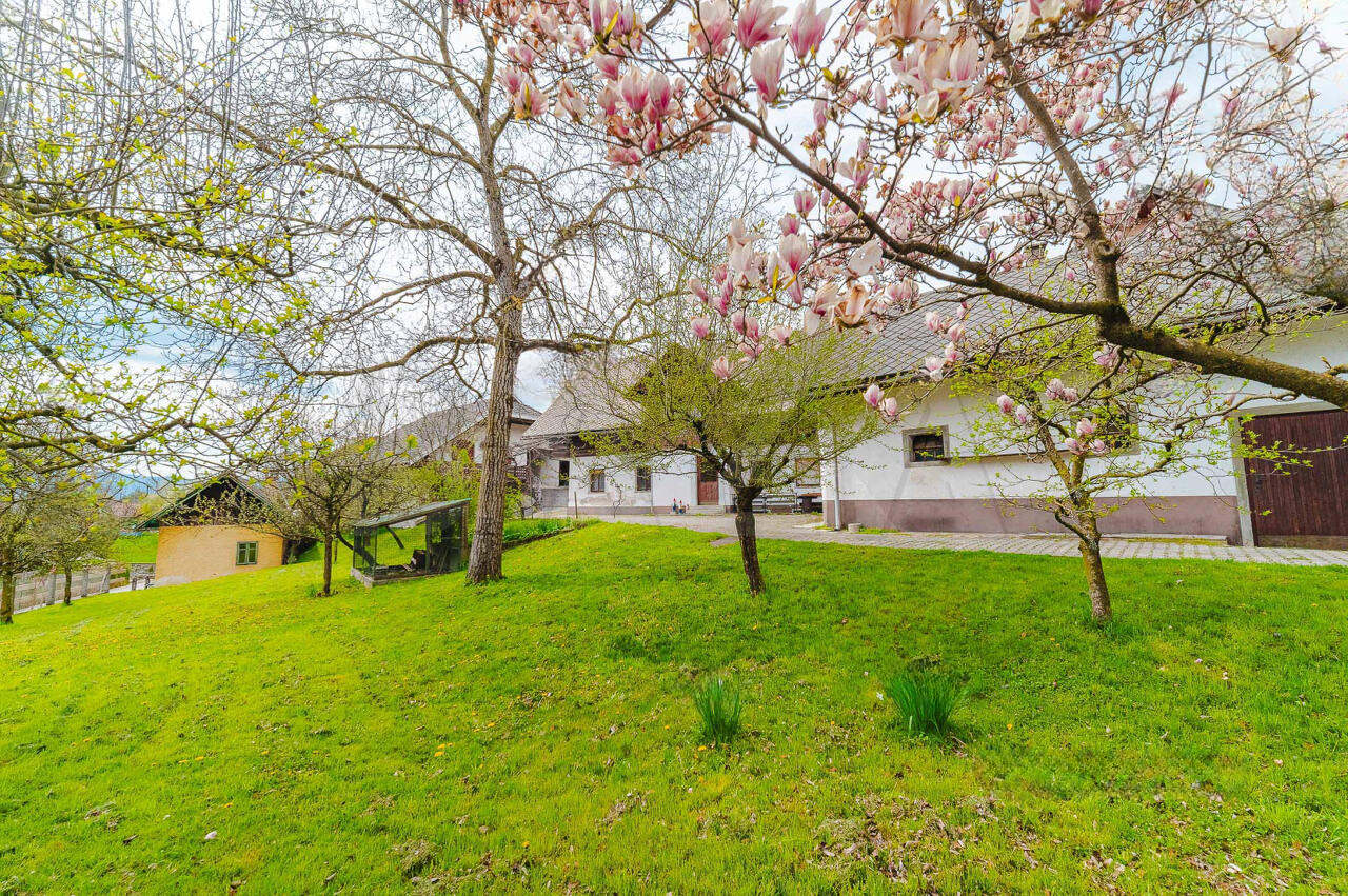 Земля в Радовлице, Словения, 2 096 м² - фото 4