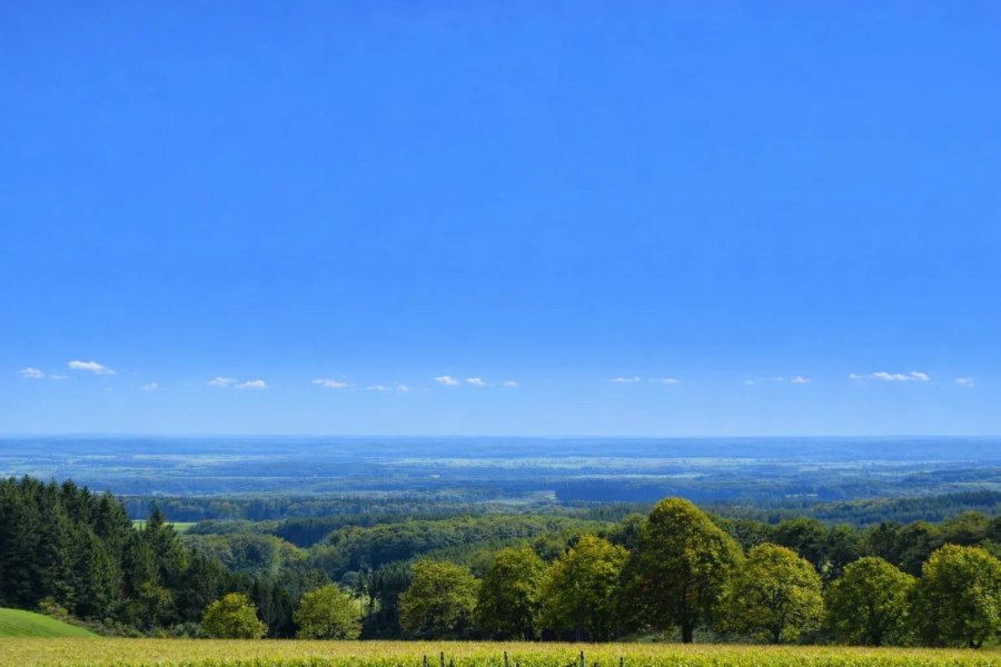 Квартира в Дикирхе, Люксембург, 268 м² - фото 7