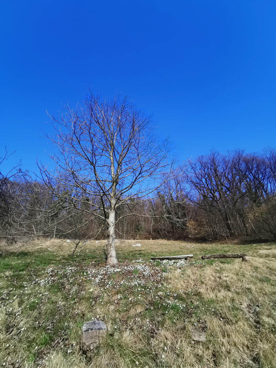 Дом в Жалеце, Словения, 60 м² - фото 8