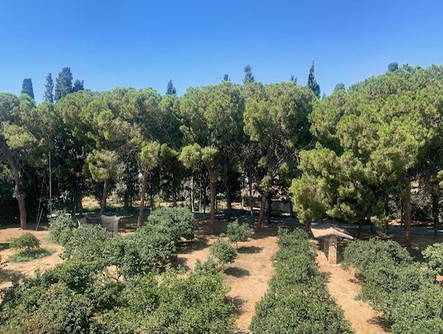 Квартира в Ермасойе, Кипр, 265 м² - фото 11