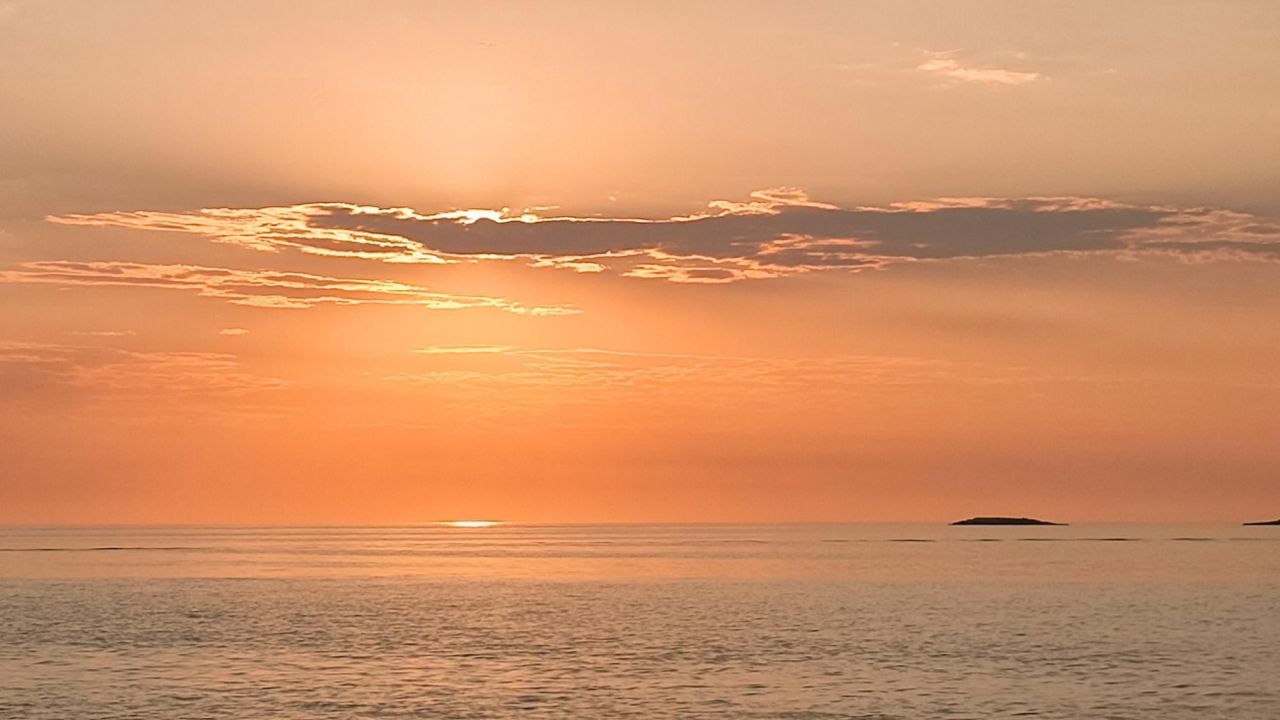 Вилла в Ровини, Хорватия, 490 м² - фото 6