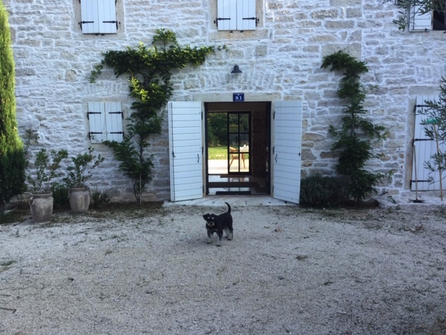 Вилла Groznjan, Хорватия, 509 м² - фото 6