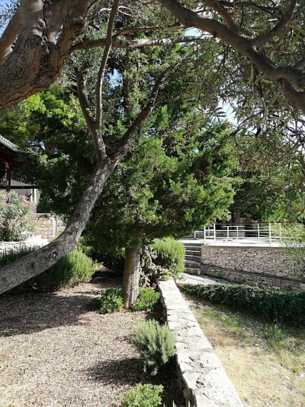 Вилла Unije, Хорватия, 368 м² - фото 15