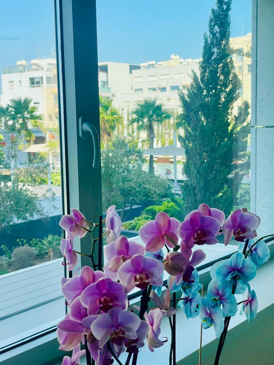 Апартаменты в Лимасоле, Кипр, 92 м² - фото 16