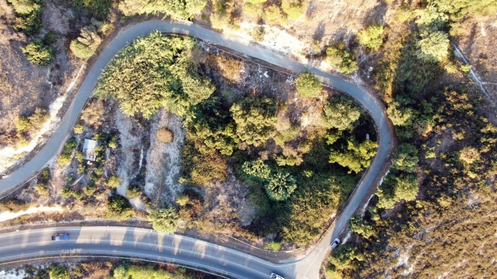 Кафе, ресторан в Пафосе, Кипр - фото 3