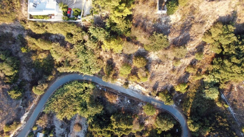 Кафе, ресторан в Пафосе, Кипр - фото 4