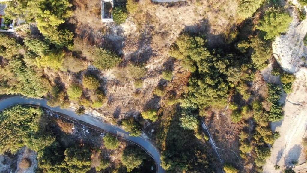 Кафе, ресторан в Пафосе, Кипр - фото 6