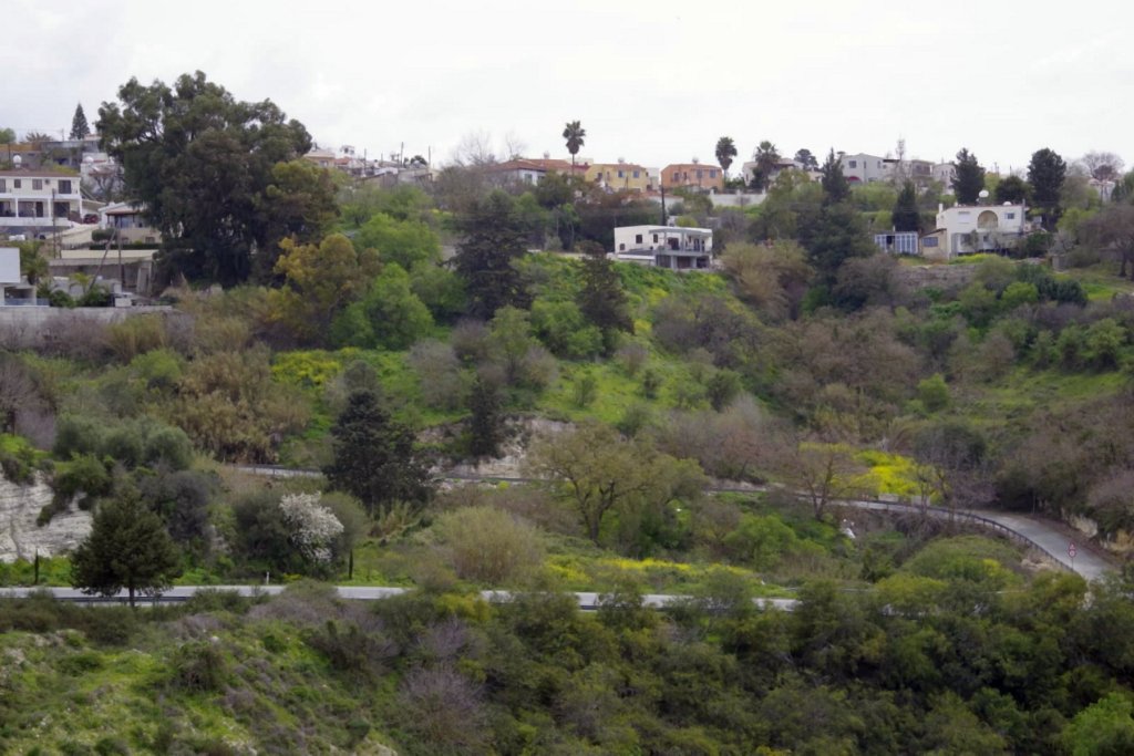 Кафе, ресторан в Пафосе, Кипр - фото 7