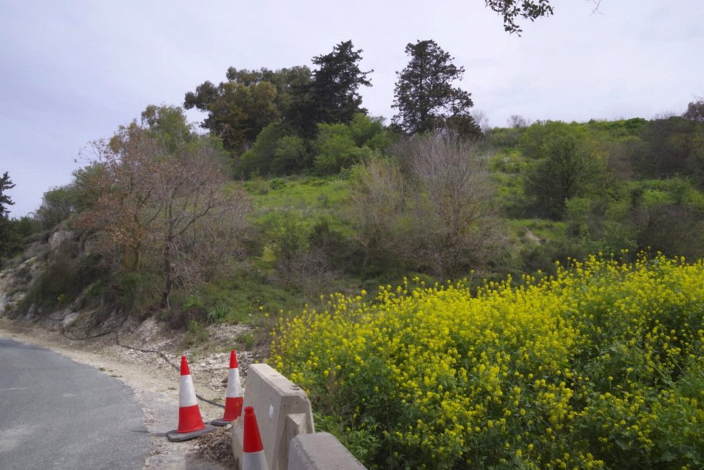 Кафе, ресторан в Пафосе, Кипр - фото 8